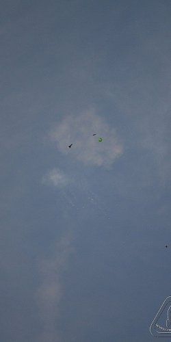 2012 Svojek mirek patek